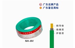 NH-BV澳门新葡萄新京6663电缆 NH-BV澳门新葡萄新京6663电缆